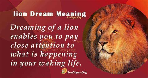 Lion dream – Numbers for dreams.